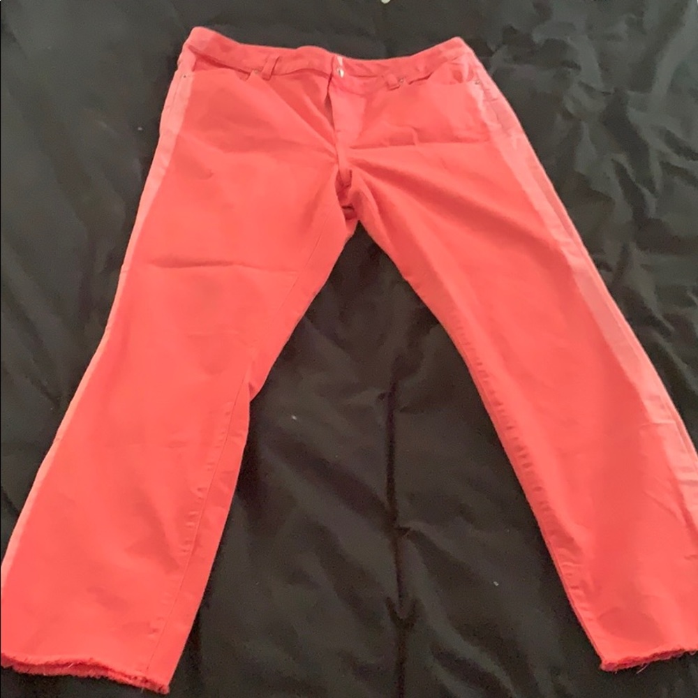 Ecru Coral Pants with Ombré Side Detail